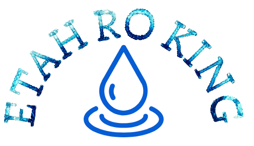 Etah RO king Logo